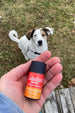 Caroline's Dream Big Lip Balms - Sweet Orange